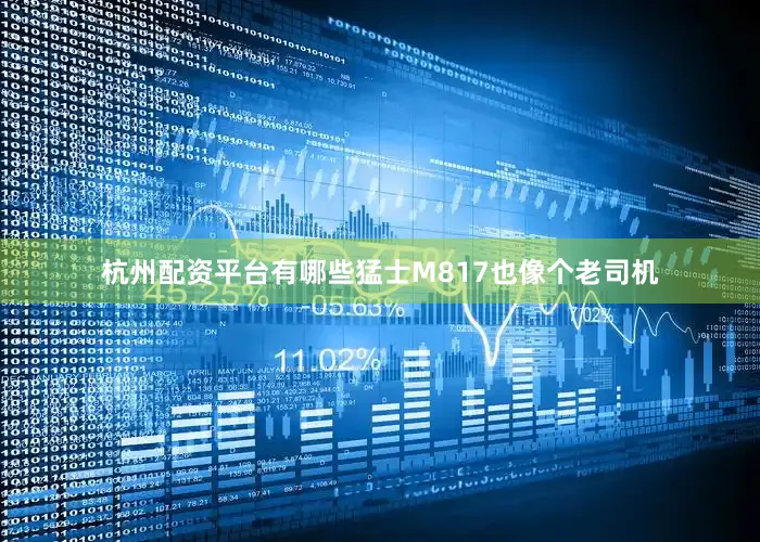 杭州配资平台有哪些猛士M817也像个老司机
