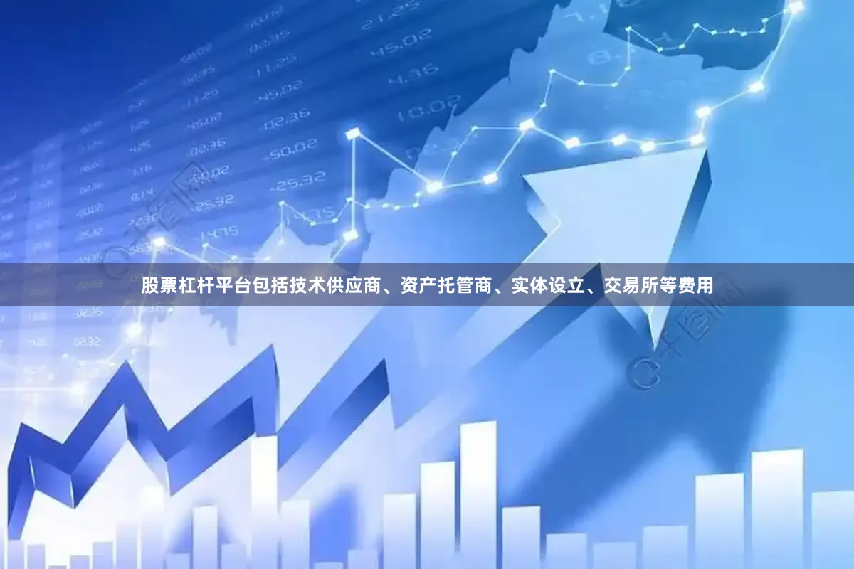 股票杠杆平台包括技术供应商、资产托管商、实体设立、交易所等费用