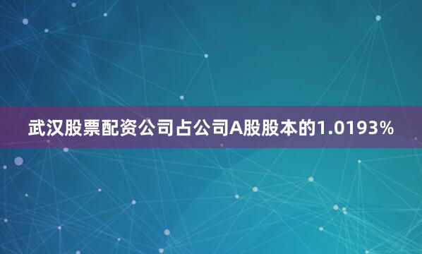 武汉股票配资公司占公司A股股本的1.0193%