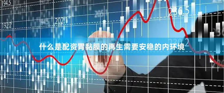 什么是配资胃黏膜的再生需要安稳的内环境